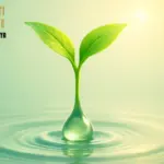 Yeni Olanın Doğuşu